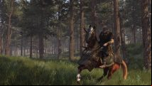 Mount and Blade 2: Bannerlord will arrive in early access 