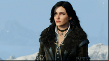 Netflix's Witcher series will explore the 