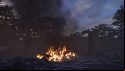 The division 2 fire