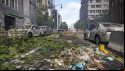 The division 2 racoon