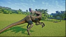 Supposed Frontier roap leak deleted from Reddit