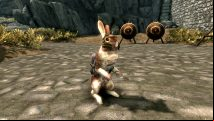 Hare about with this Skyrim mod that adds a rabbit companion