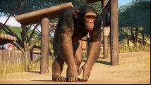 Planet Zoo is adding primates, reptiles, and big cats to its wild animal roster