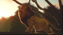 Planet Zoo will focus on animal welfare and conservation