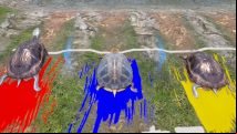 Shenmue 3 has real-time turtle racing