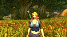 WoW Classic guide: starter tips for new and returning players