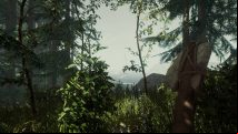 The best The Forest mods