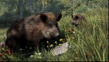 Looks like Rust is getting pets