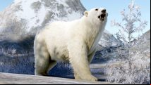Rust has sold over 12.4 million copies and is getting polar bears soon