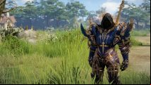 The best Lost Ark Paladin builds for PvP and PvE