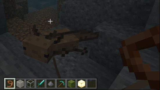 You can tame a Minecraft axolotl by putting a lead on it