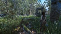Skyrim's forests are glorious with this mod that adds 