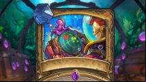 Hearthstone card reveal - meet Radar Detector