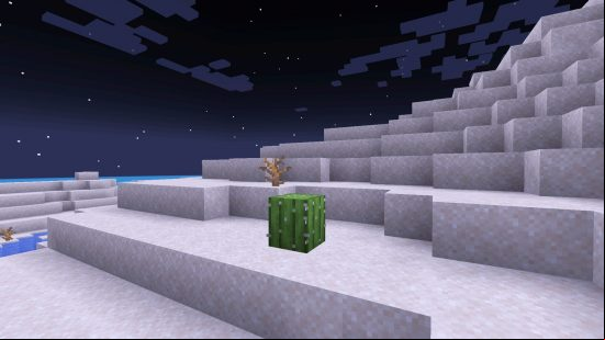 Minecraft biomes - a lone cactus in the middle of a desert.