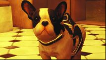 You can play Stray with cute puppy dog instead