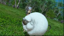 FFXIV Island Sanctuary animals list, locations, and materials