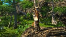 FFXIV Island Sanctuary gathering materials guide