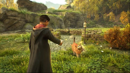 Hogwarts Legacy beasts - a wizard is grooming a Kneazle, a cat-like creature, with magic. They are in a peaceful garden.