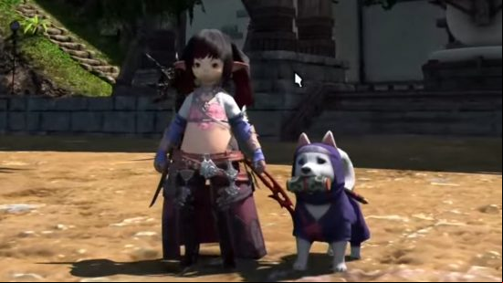 FFXIV 6.4 Live Letter 77 - A Lallafel player character stands next to a new puppy minion.