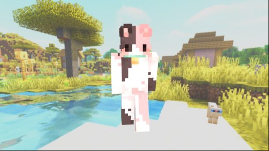 A Minecraft cat skin with grey, white, and pink party fur, and small black eyes.