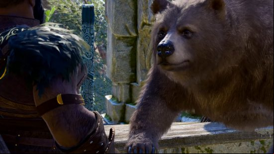 baldurs gate 3 druid meets a bear