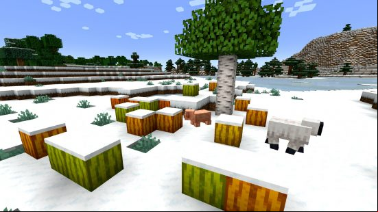 Pumpkins in a range of colors sit on the snow, in front of a birch tree, a pig, and a sheep, in one of the best Minecraft Texture packs for 1.20, Jicklus.