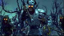 Avowed, RPG from the makers of Fallout New Vegas, originally had co-op
