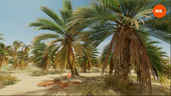 AC Mirage enigmas: a blanket set out between two palm trees.