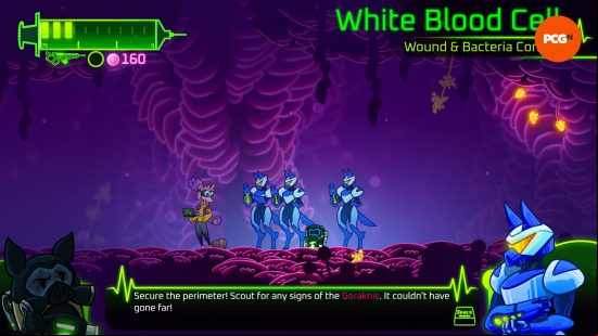 BioGun Clinical Trial - The 'White Blood Cells,' a group of dogs in blue enforcer gear.