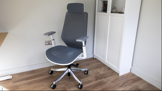 FlexiSpot C8/BS11 Pro
