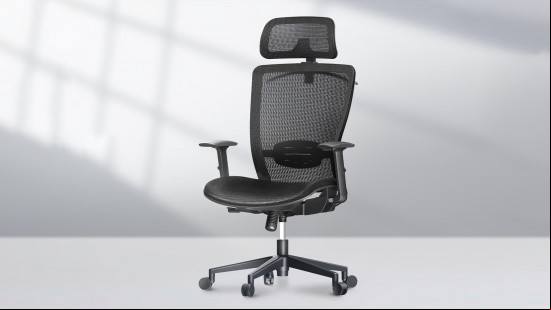 Flexispot OC3