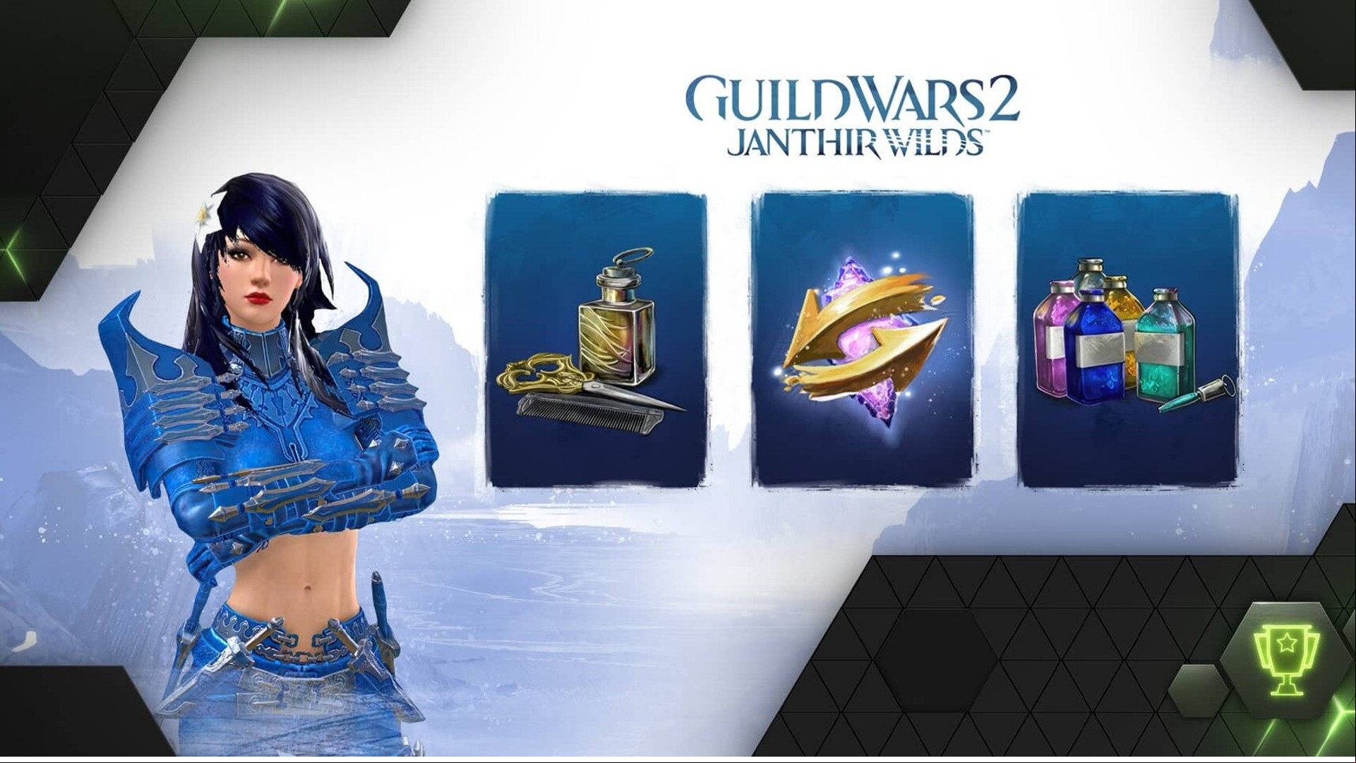 Nvidia free Guild Wars 2 customization kit 