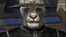 ESO celebration kicks off after players unlock lucrative bonus rewards