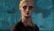 Huge new Skyrim mod plunges you into the middle of a vampire war