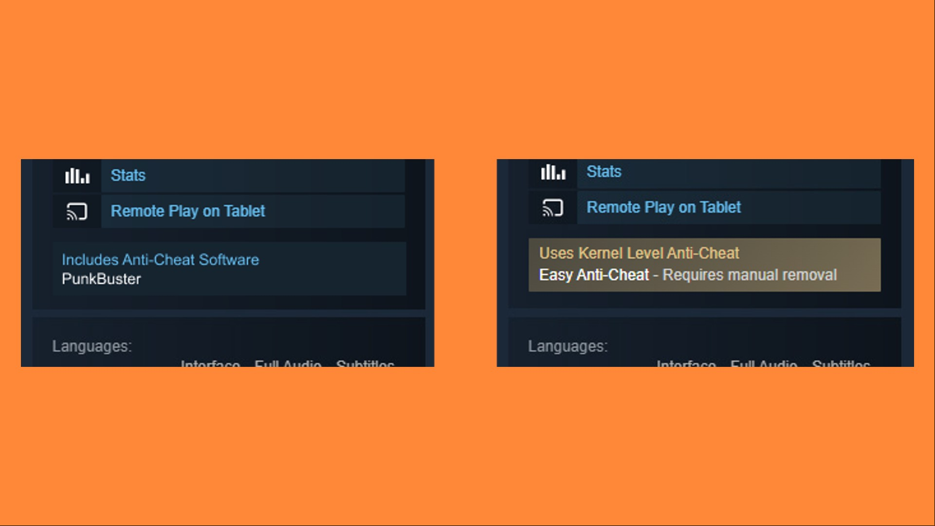 Valve Anti-Cheat flags
