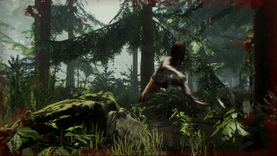 The Forest Header Image