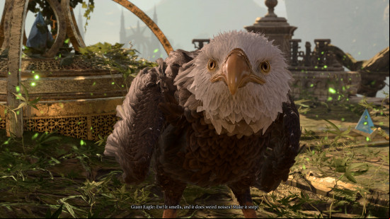 A Giant Eagle saying you smell and asking its mother to make you stop making weird noises