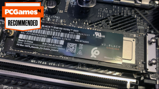 WD Black SN8100