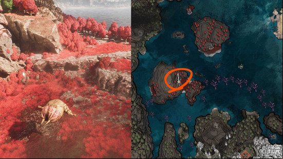 Lost gestral 5 location in Expedition 33.