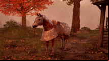 How to get a horse in Oblivion Remastered