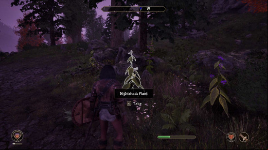 Nightshade plant in Oblivion Remastered.