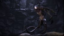 Evolve demonstrates new 