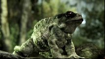 Crysis 3 system specs revealed; marks the return of the phrase: 