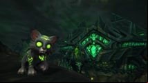 Donate to Make A Wish by adopting World of Warcraft's adorable Fel kitty this Christmas